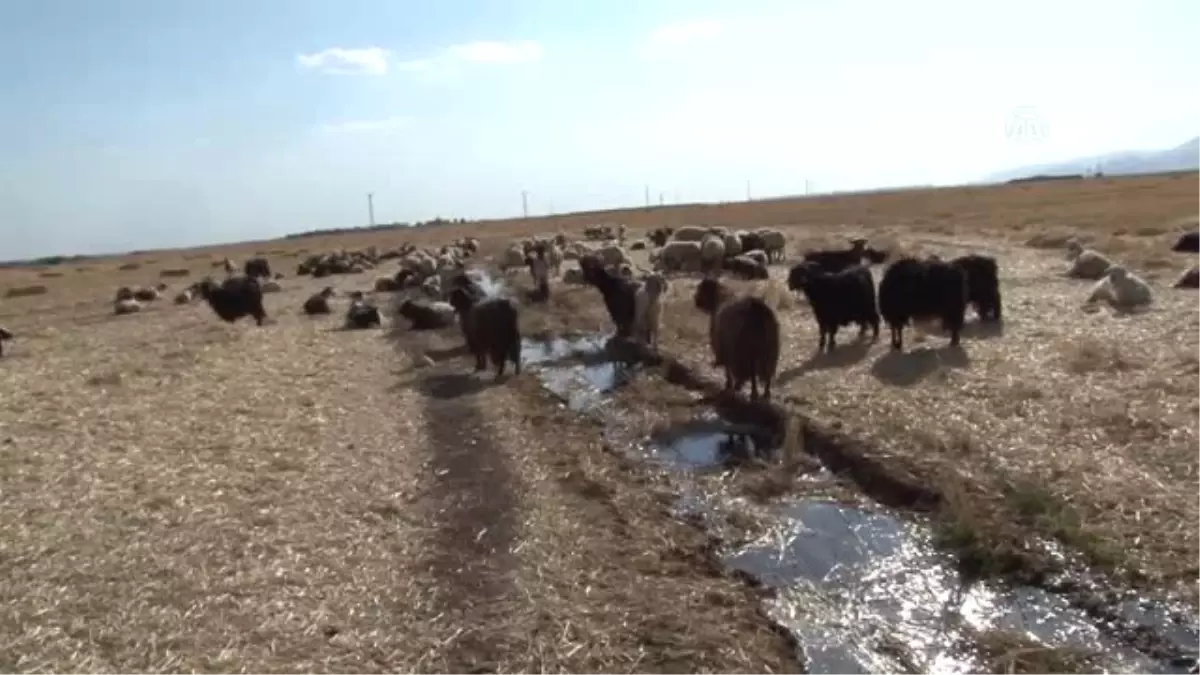 Aşırı Sıcaklar Güneydoğu\'da Etkili Oluyor