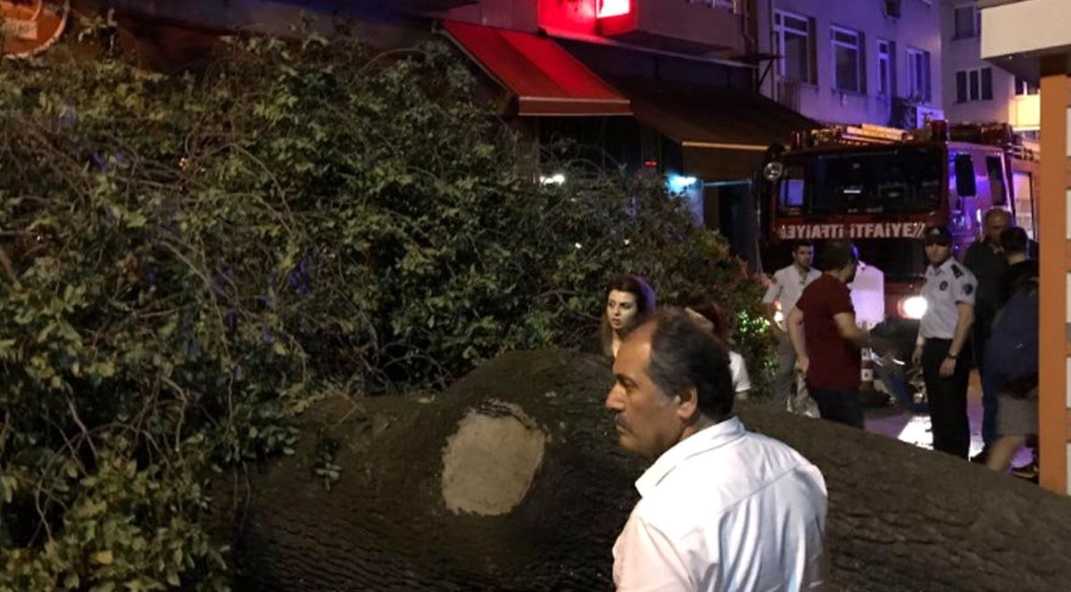 Dha İstanbul - Kadıköy\'de Kafenin Üzerine Ağaç Devrildi: 2 Yaralı