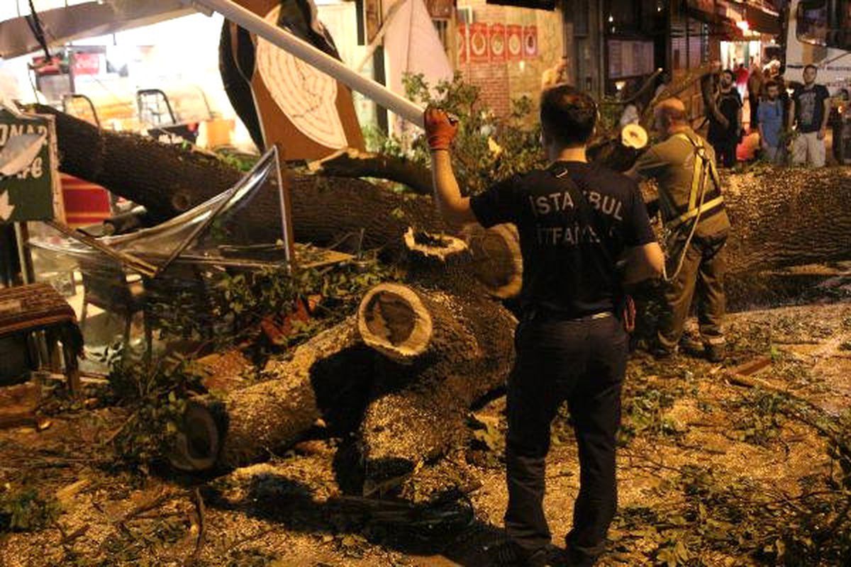 Dha İstanbul - Kadıköy\'de Kafenin Üzerine Ağaç Devrildi: 2 Yaralı (Ek)