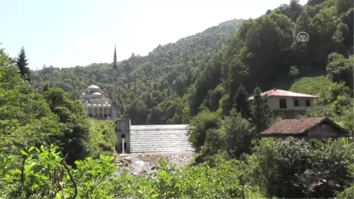 Doğa Için 1 Milyon Lira Feda Edildi - Rize