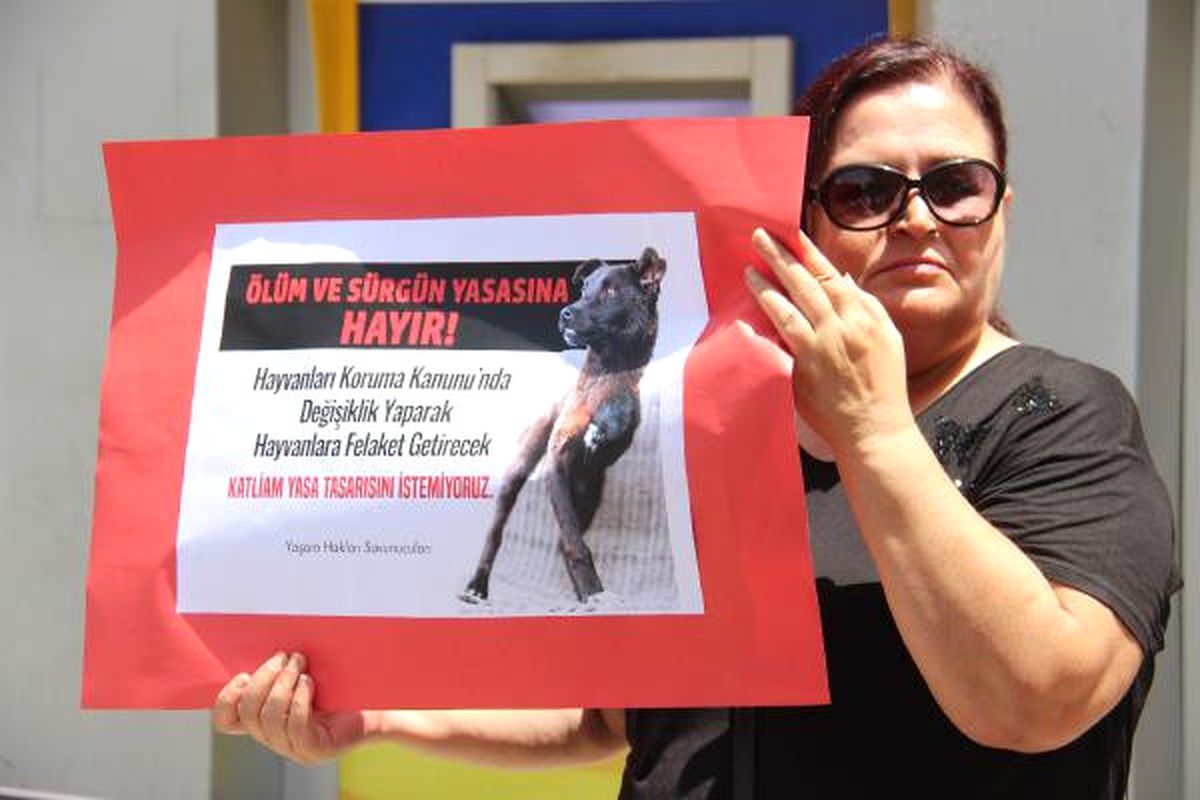Edirne\'de Hayvanseverler Yeni Yasa Tasarını Protesto Etti