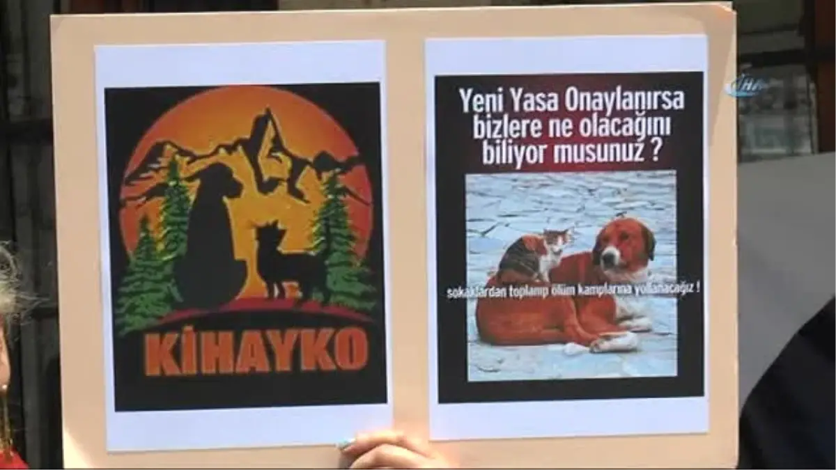 Hayvan Hakları Savunucularından Yasa Tasarısına Tepki