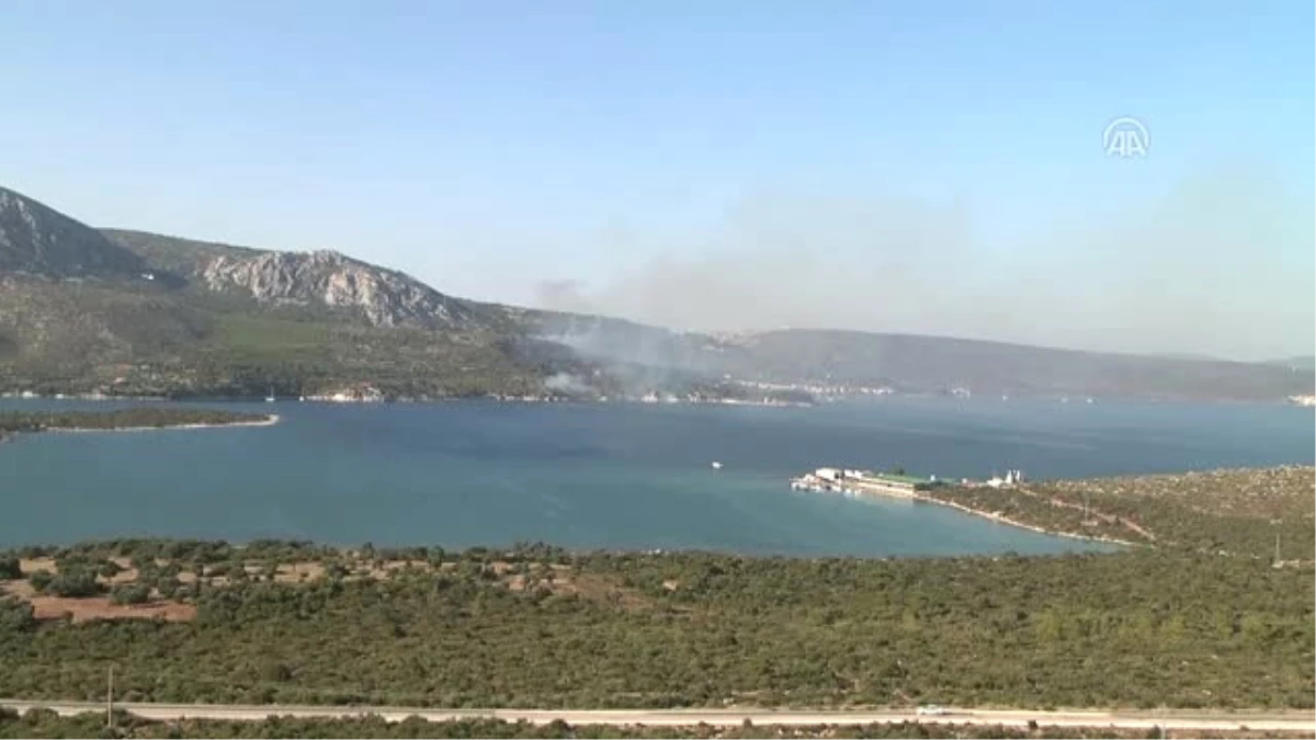 Izmir\'de Bozuk Orman Arazisinde Yangın