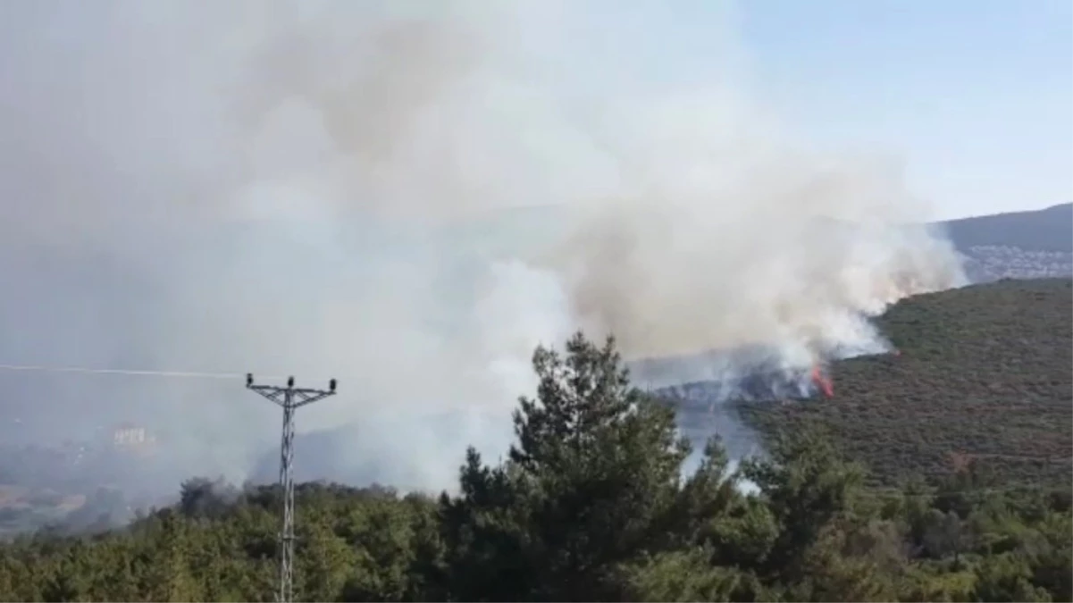Izmir\'de Ikinci Orman Yangını