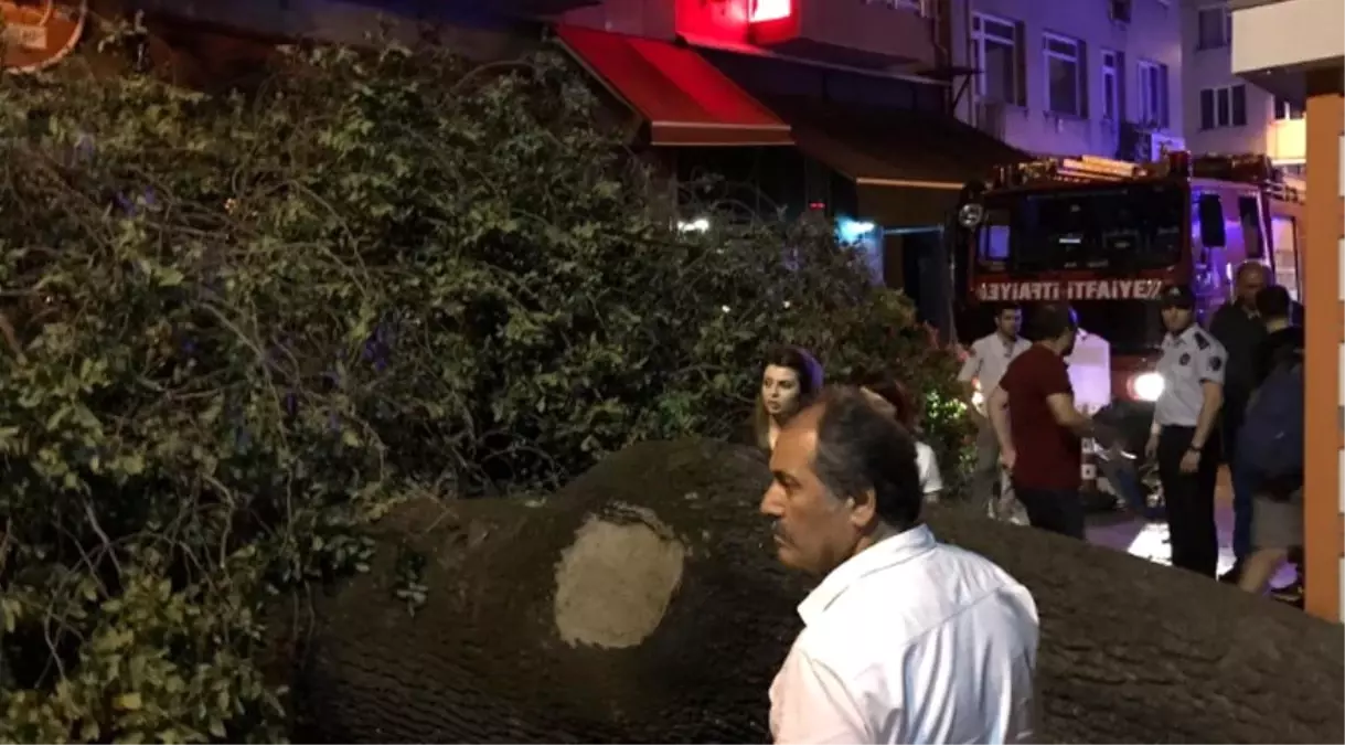 Kadıköy\'de Asırlık Ağaç Kafenin Üzerine Devrildi: 2 Yaralı