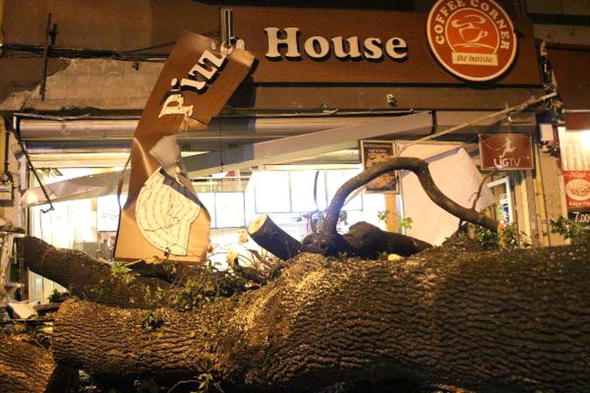 Kadıköy\'de Kafenin Üzerine Ağaç Devrildi: 2 Yaralı (Ek)