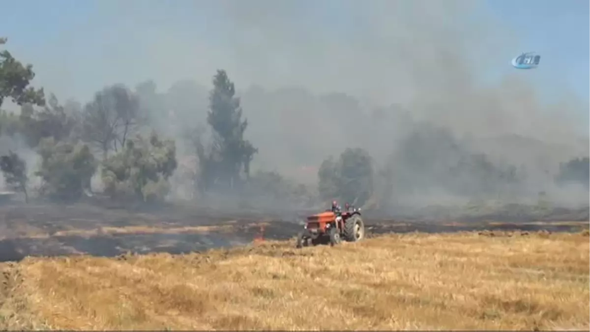 Kopan Yüksek Gerilim Hattı Yangına Neden Oldu