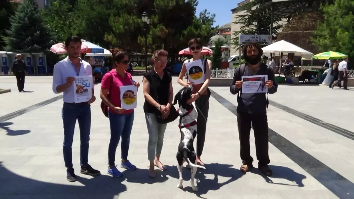 Tokat\'ta, Hayvan Hakları Savunucularından Yasa Tasarısı Tepkisi