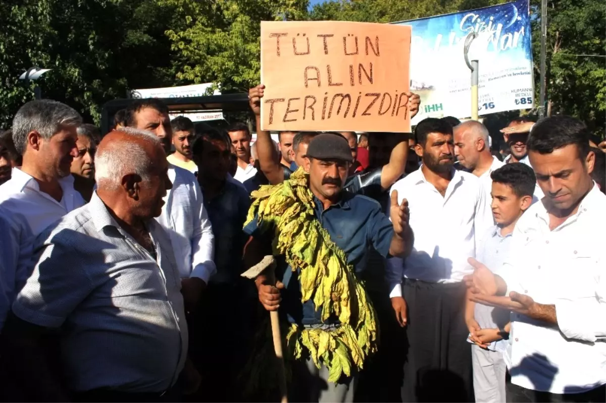 Tütün Protestosunda Gerginlik Yaşandı