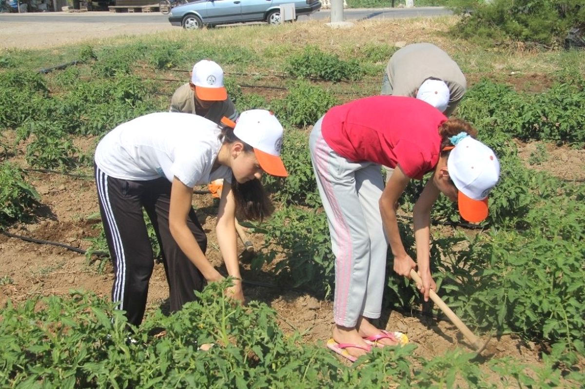 Burhaniye\' de Öğrencilere Yaz Kampı Başlıyor