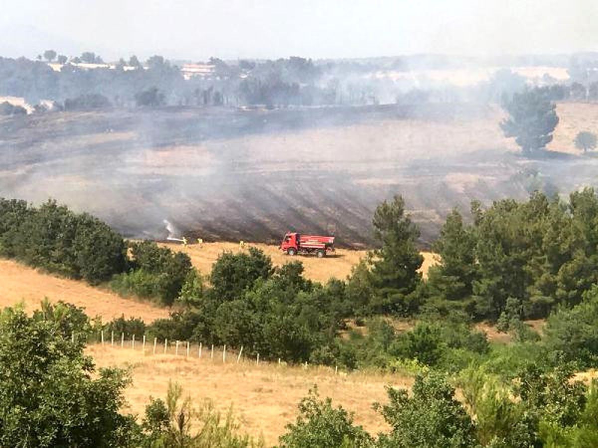 Çanakkale\'de Tarım Arazisindeki Yangın Ormana da Sıçradı