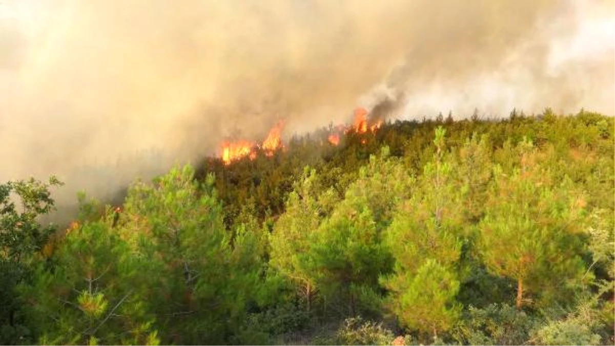 Çanakkale\'de Tarım Arazisindeki Yangın Ormana da Sıçradı (2)