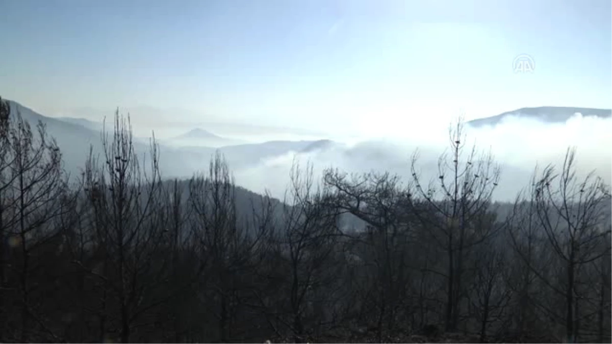 Izmir\'de Yangın Söndürme Çalışmaları - Tahtalı Barajı