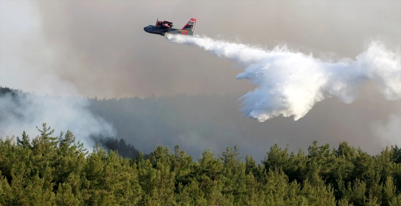 İzmir\'deki Maki ve Orman Yangını