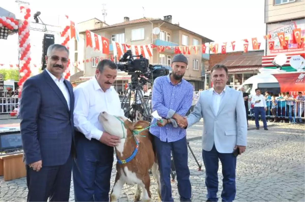 Kelkit Organik Tarım ve Hayvancılık Festivali Başladı