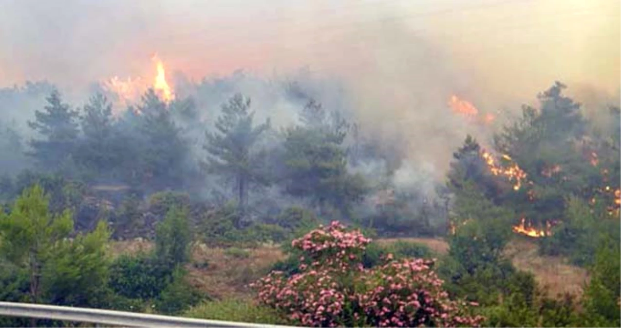 Orman Genel Müdürü Konuştu: Menderes\'teki Yangın İnsan Kaynaklı