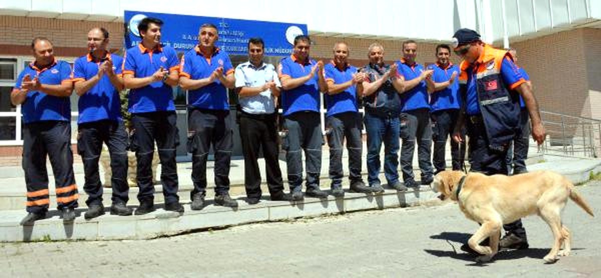 Afad\'ın Arama Köpeği \'Herkül\'ü Emekli Oldu