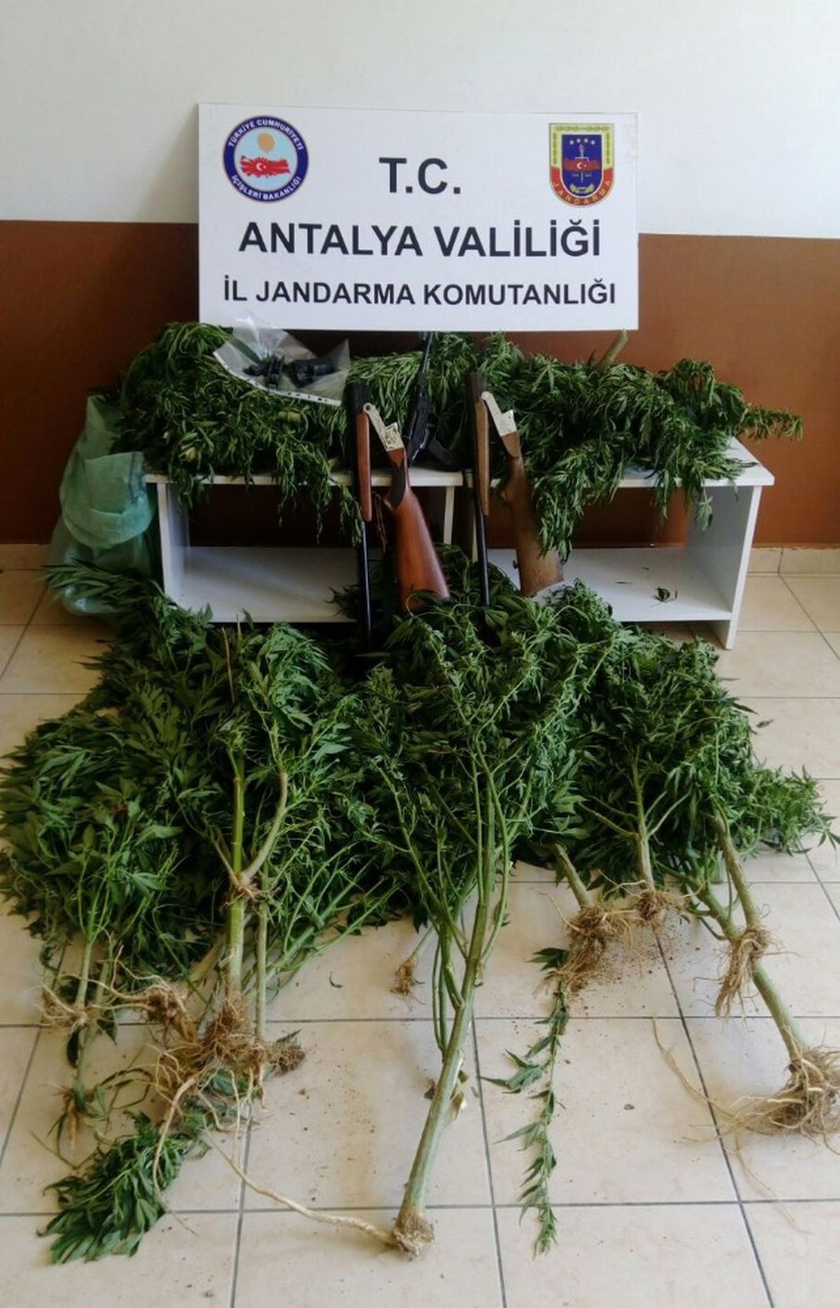 Alanya\'da 10 Kilo Esrar Ele Geçirildi