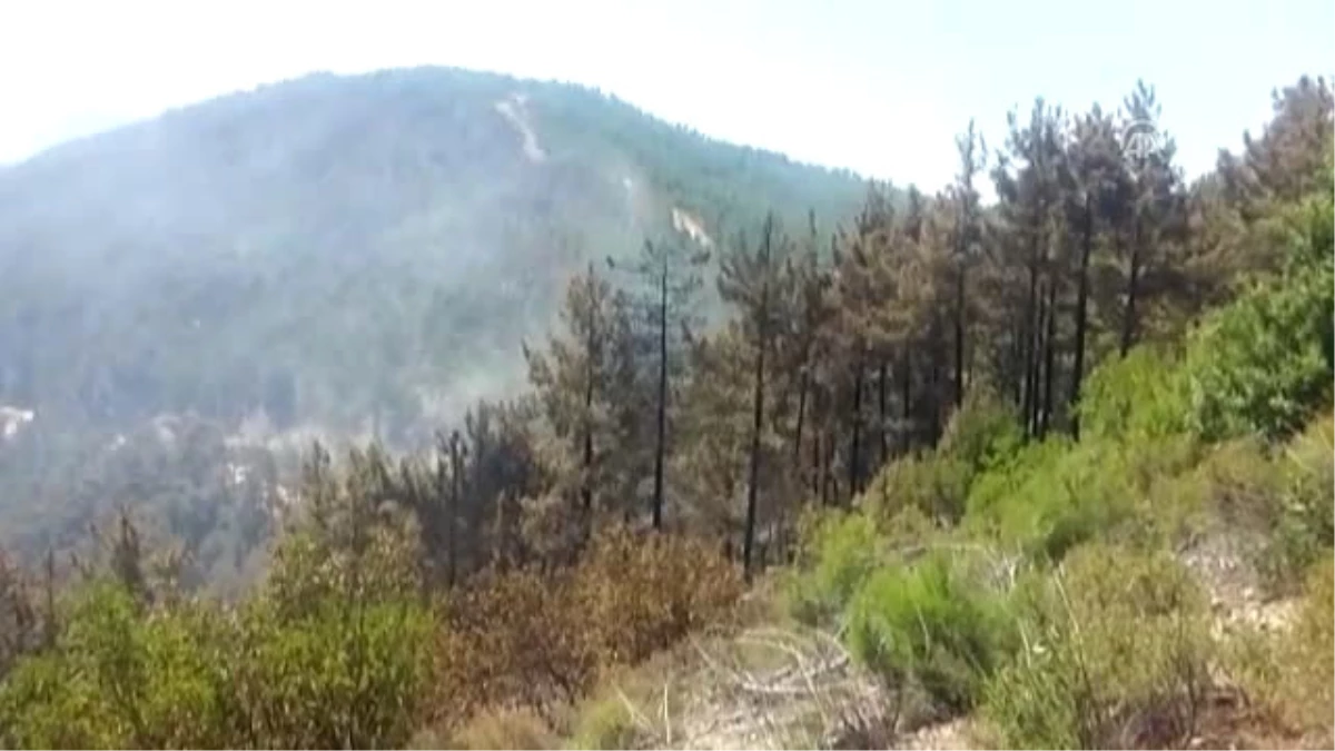 Anamur Ilçesindeki Orman Yangını