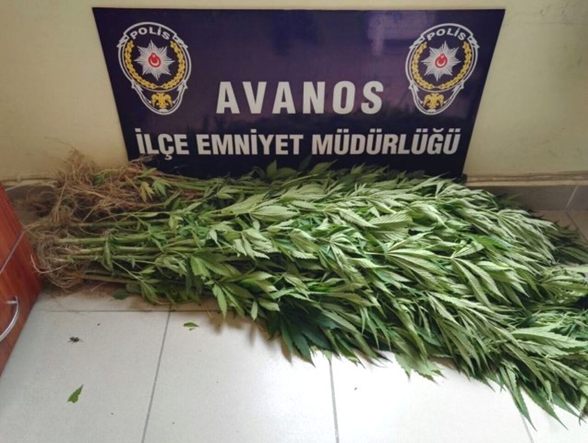 Avanos\'ta Hint Keneviri Ele Geçirildi