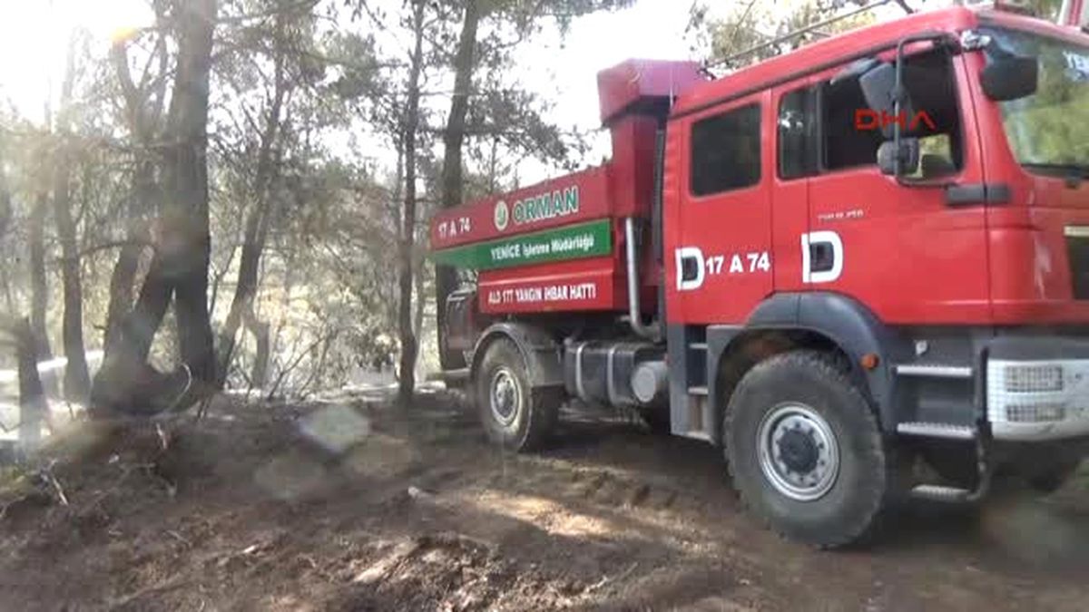 Çanakkale\'deki Orman Yangını Devam Ediyor (2)