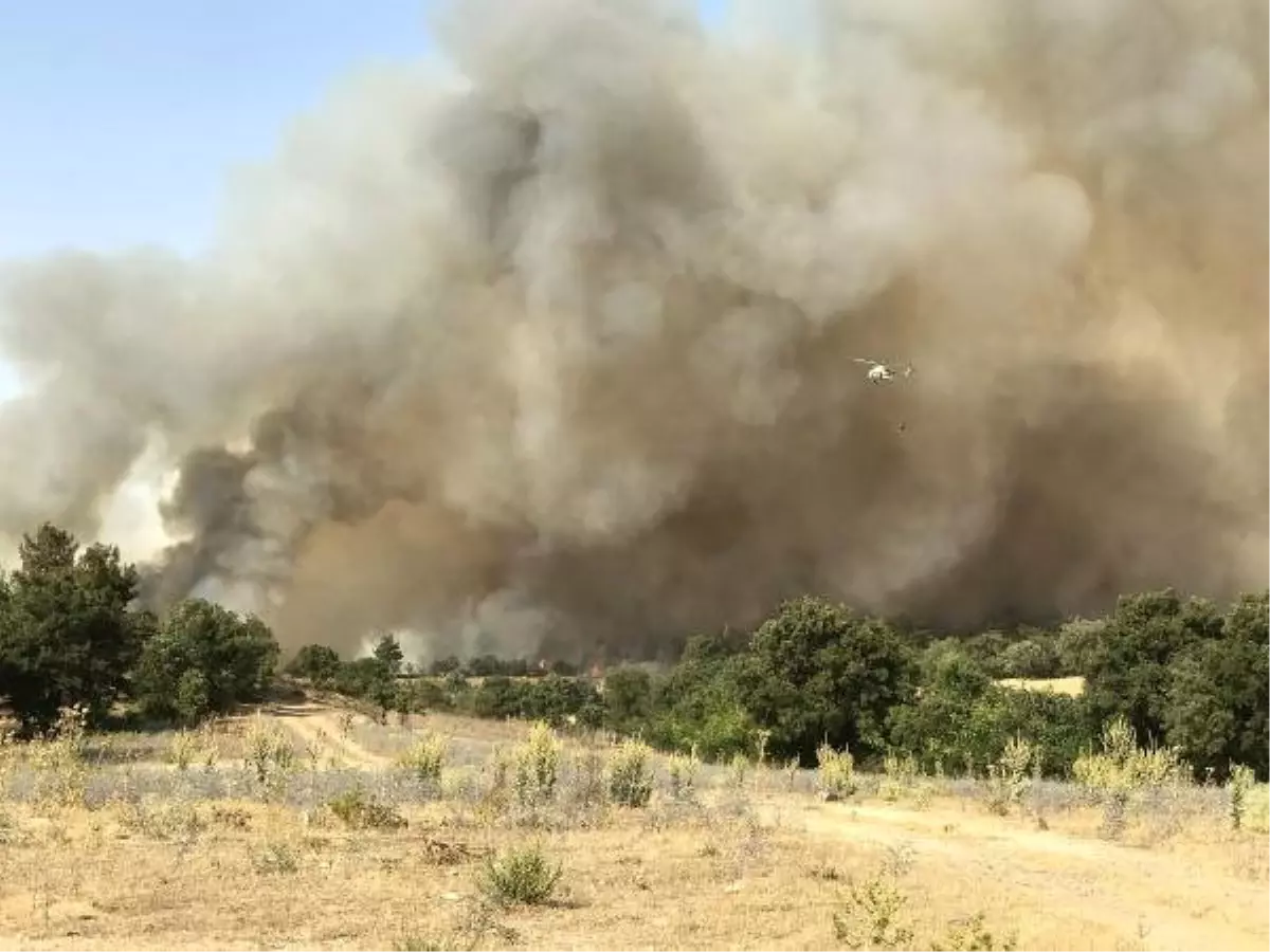 Çanakkale\'deki Orman Yangını Devam Ediyor