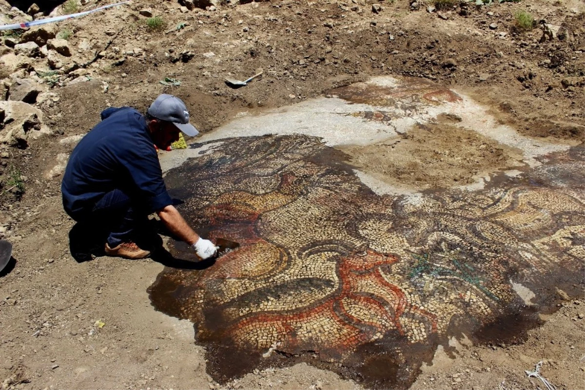 Çiftçinin Bulduğu 1600 Yıllık Mozaik Gün Yüzüne Çıkıyor