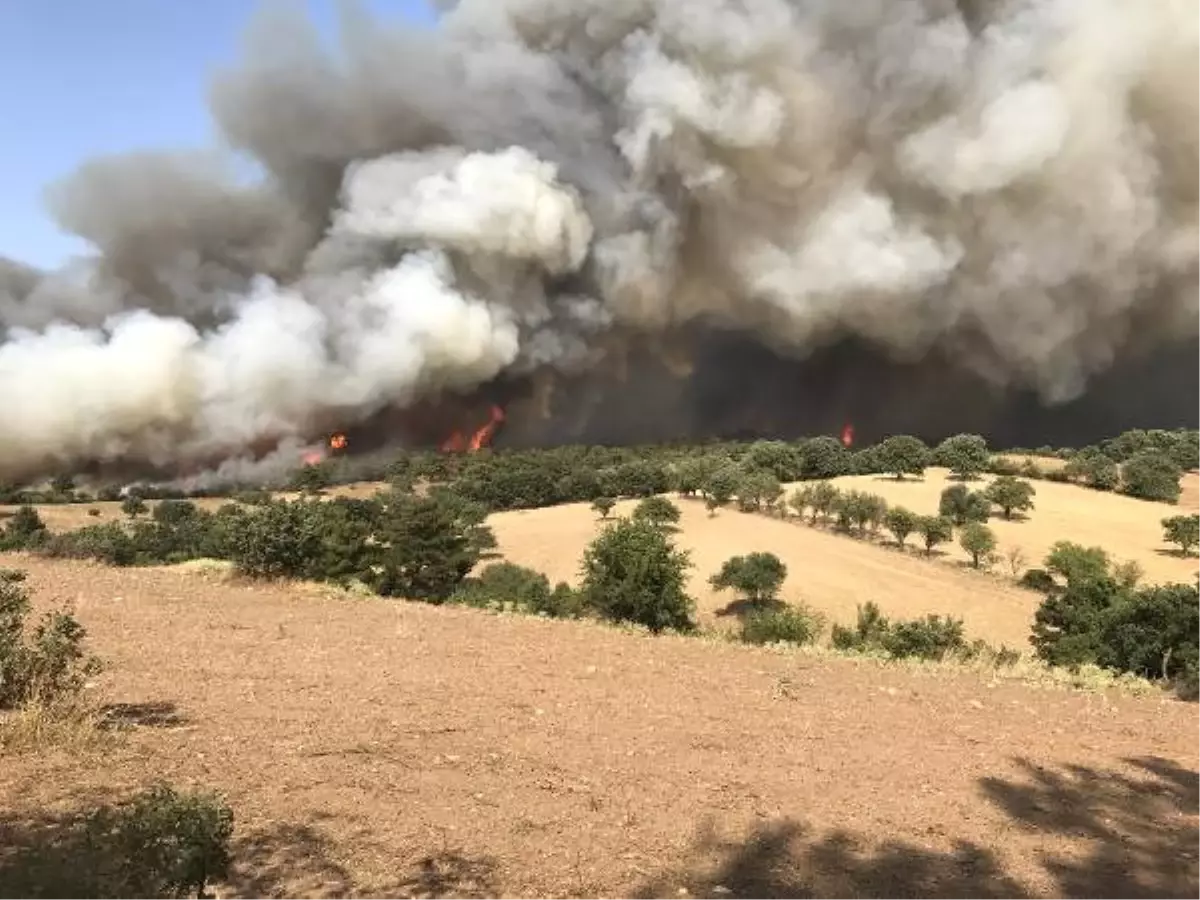 Dha,çanakkale\'deki Orman Yangını Devam Ediyor