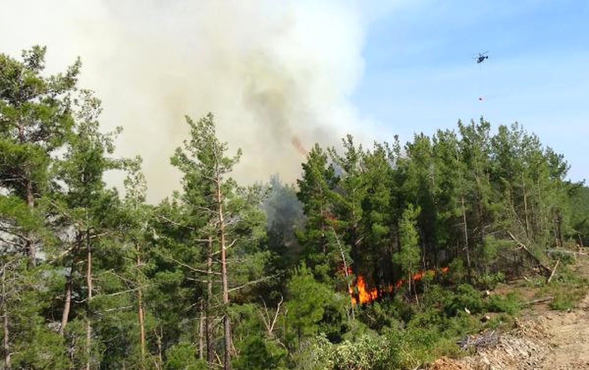 Dha Yurt: Anamur\'daki Orman Yangını Kısmen Kontrol Altında