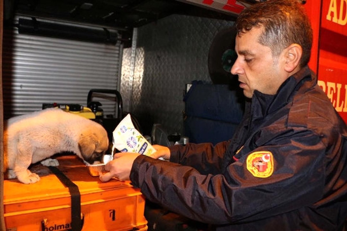 Duvarların Arasına Sıkışan Yavru Köpeği İtfaiye Kurtardı