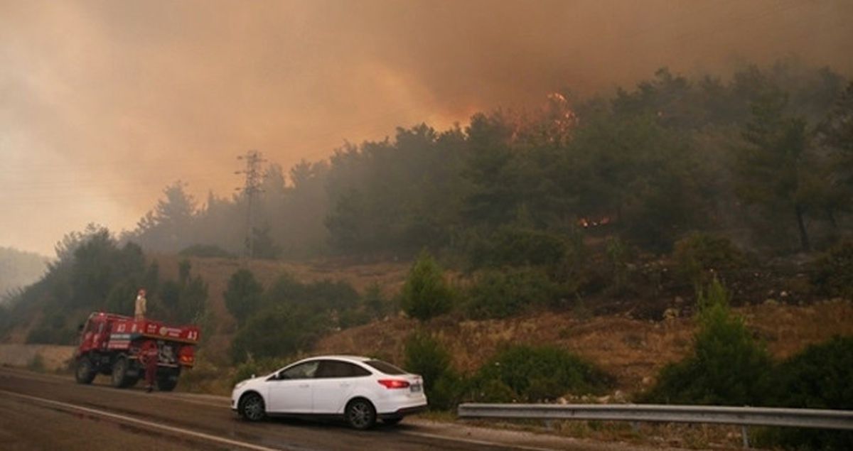 Flaş