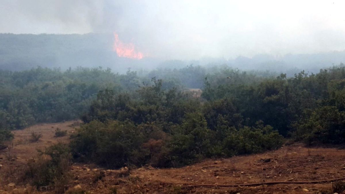 Izmir Alev Alev: Şimdi de Tire Yanıyor