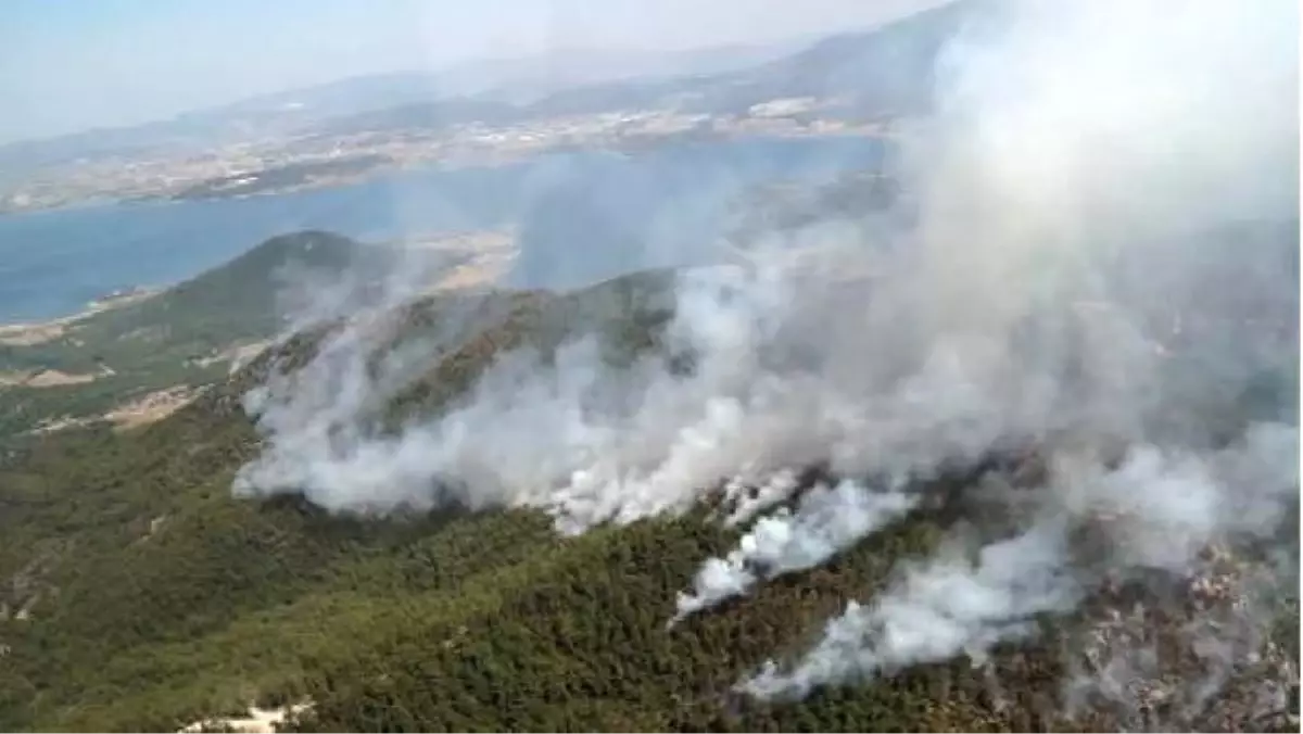 İzmir\'deki Orman Yangınını Sarp Bölgede Devam Ediyor