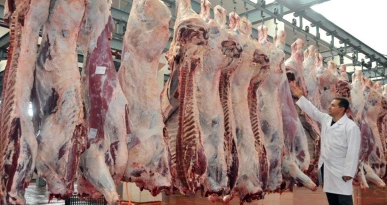 Karacabey Kırmızı Et Üreticileri Birliği Başkanı Karaca Açıklaması