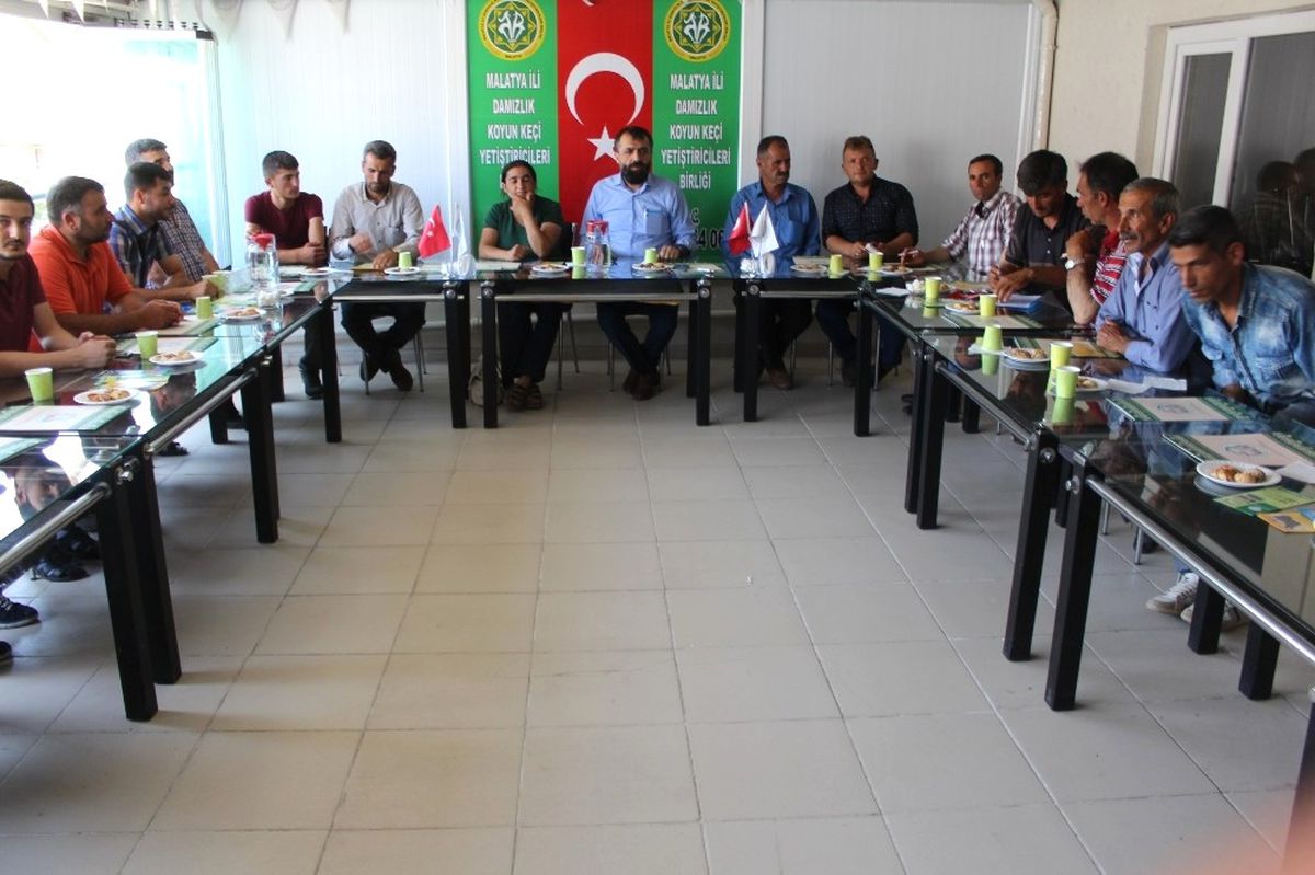 Koyun Kırkım\' Kursu