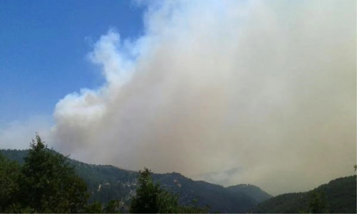 Mersin\'deki Orman Yangını