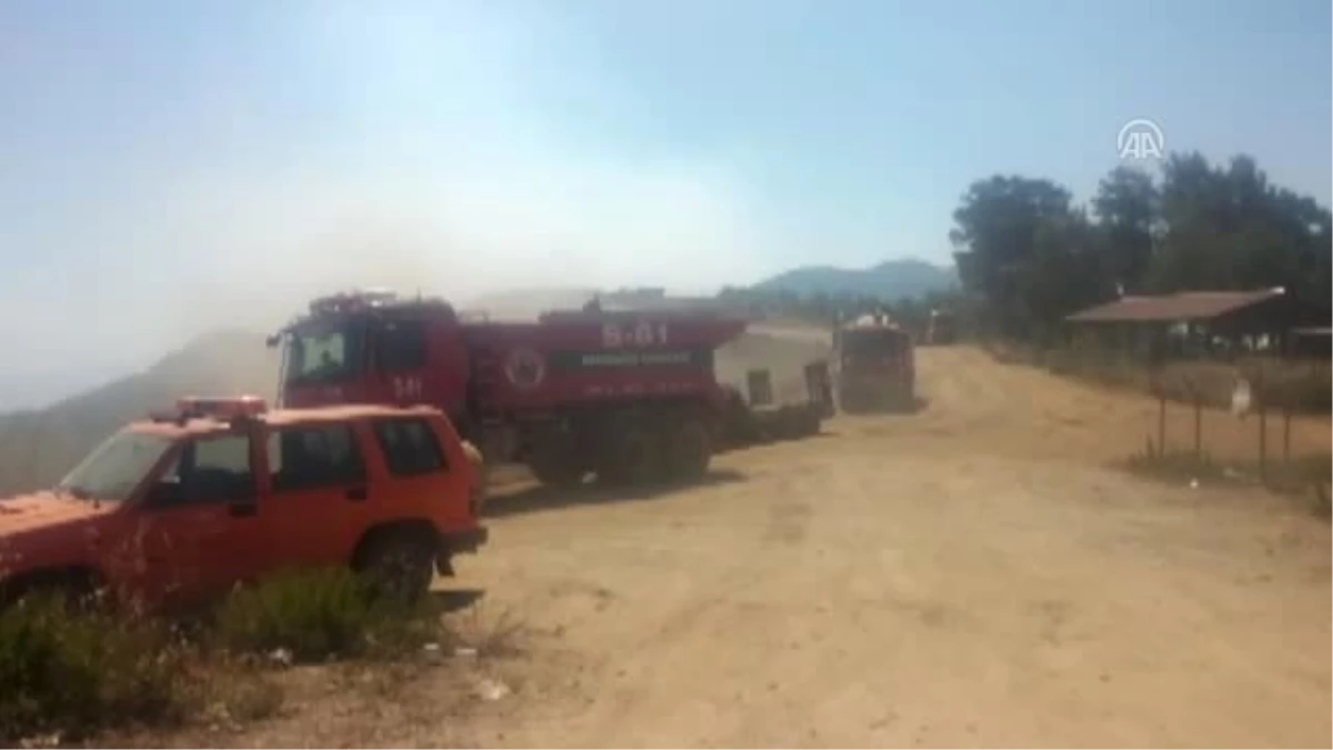 Mersin\'deki Orman Yangını - Orman Bölge Müdürü Yılmaz
