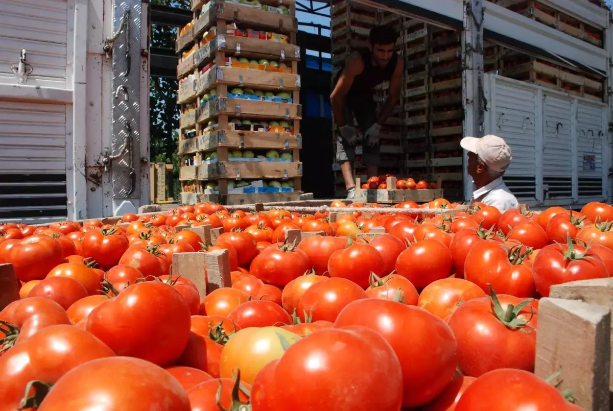 Tüketici Fiyatları Bazında Haziranda En Yüksek Fiyat Artışı Yüzde 28,14 ile Yurt İçi Bir Hafta ve...