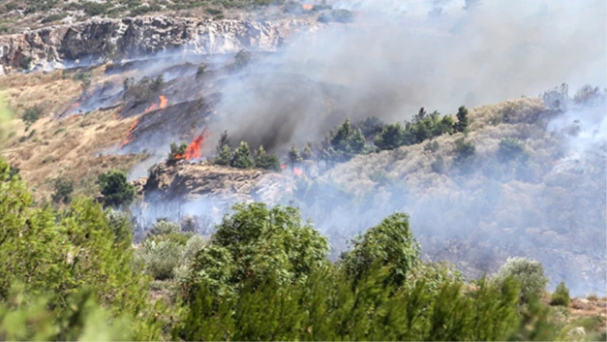 Yunanistan\'da Orman Yangınları