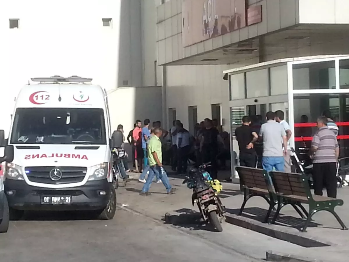 Adana\'daki Tarla Kavgası