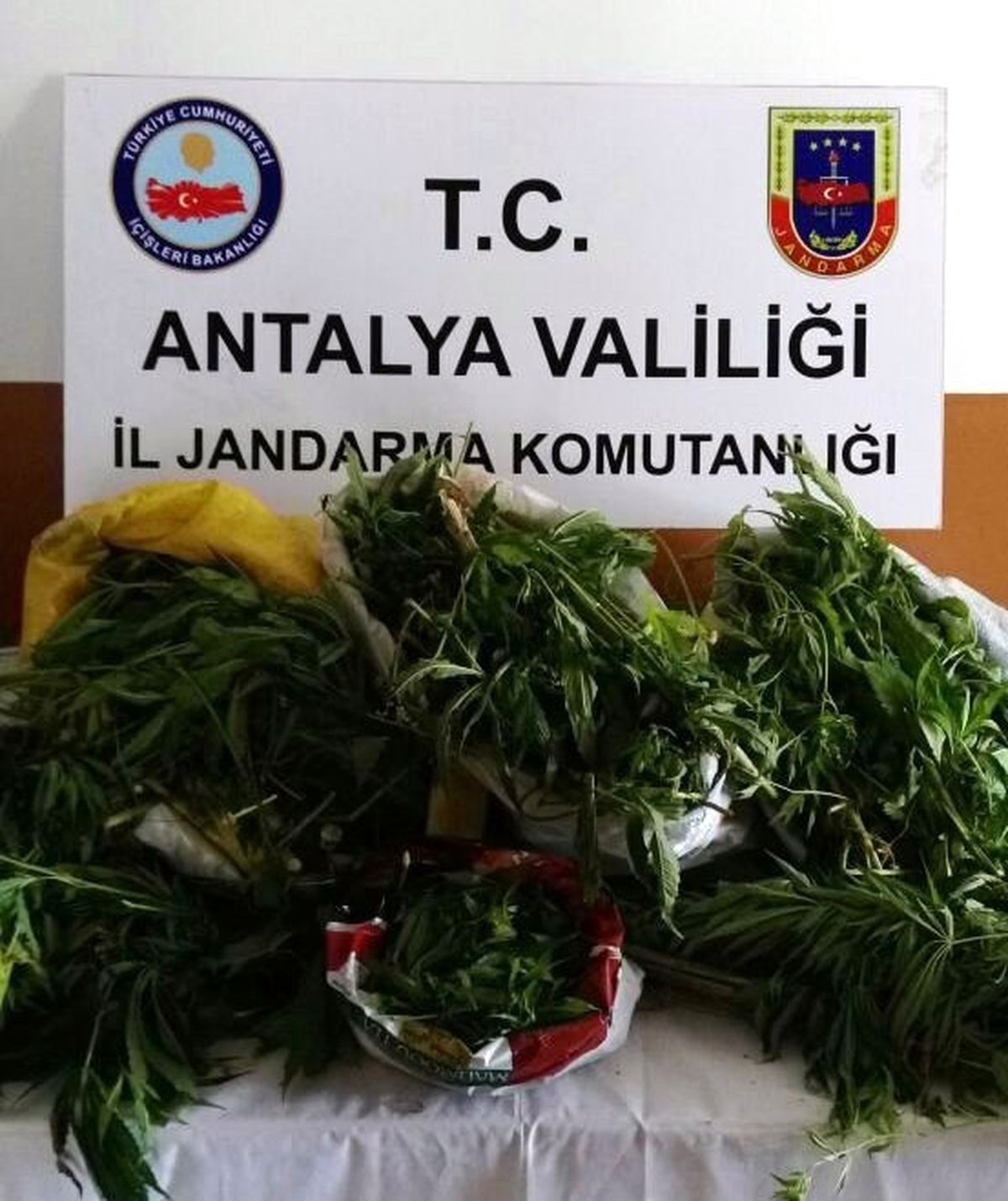 Alanya\'da Uyuşturucu Operasyonu