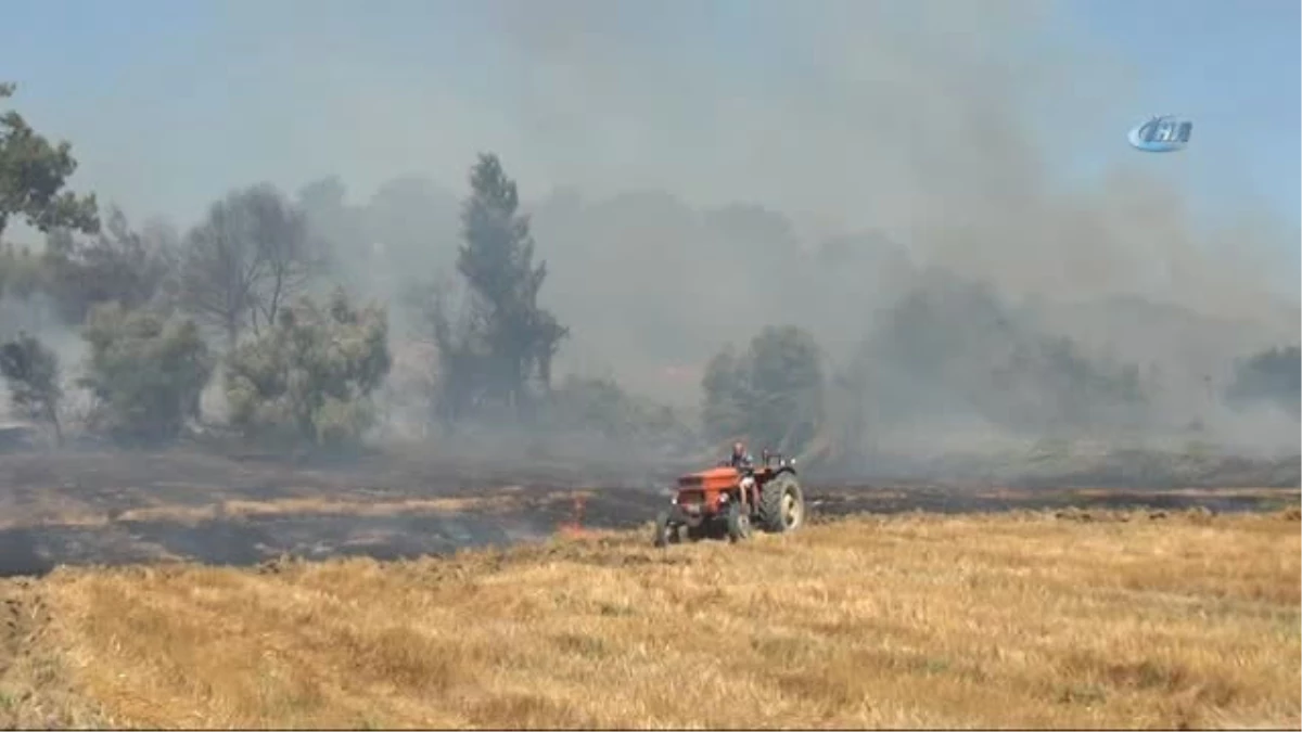 Antalya\'da 4 Günde 8 Ayrı Noktada Sıcak Orman Yangınlarında Bin 108 Hektarlık Alan Yandı