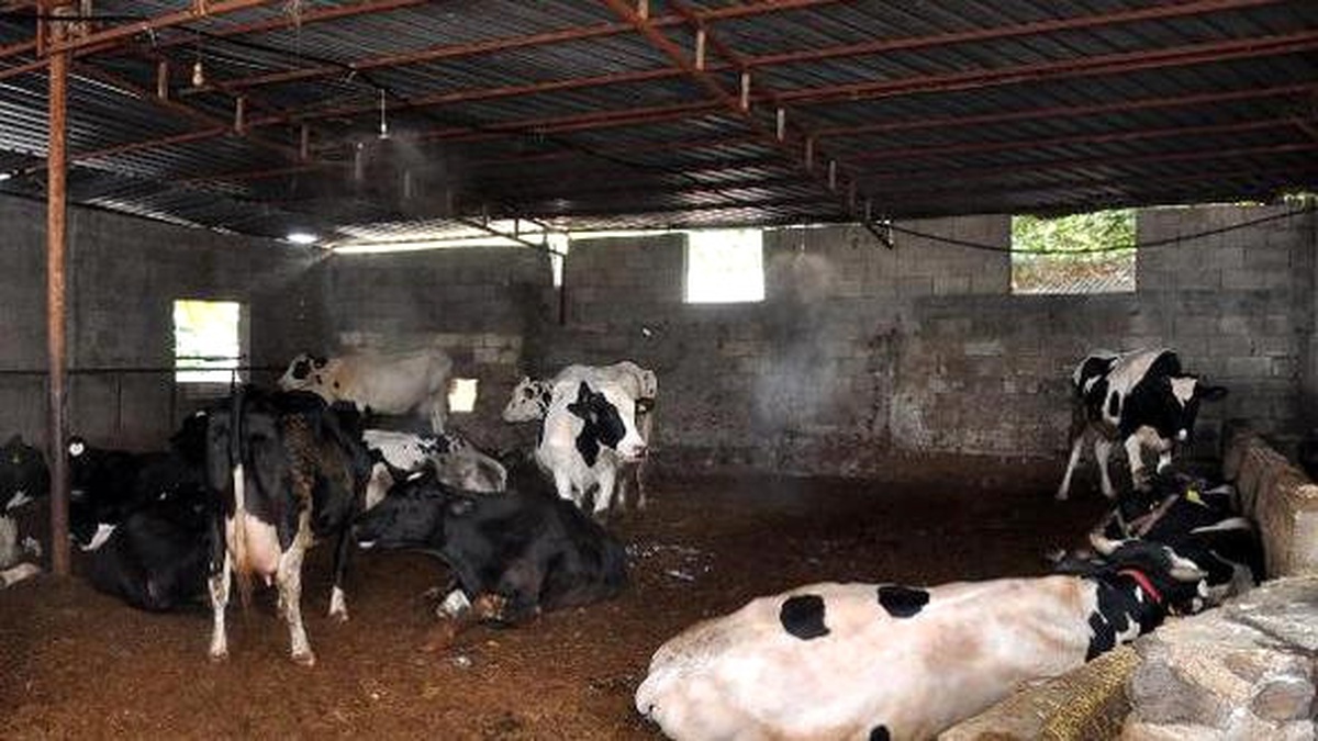Besici ve Çiftçilere Sıcak Hava Uyarısı
