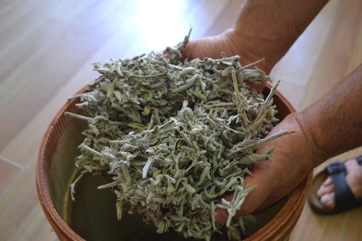 Bunaltıcı Sıcaklarda Terlemeye Karşı Adaçayına Rağbet Arttı