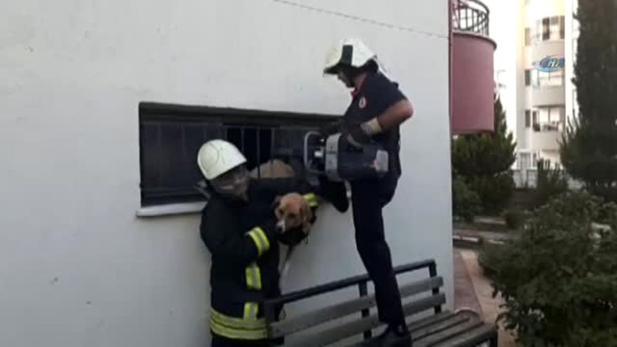 Demir Kapıya Sıkışan Köpeği İtfaiye Kurtardı