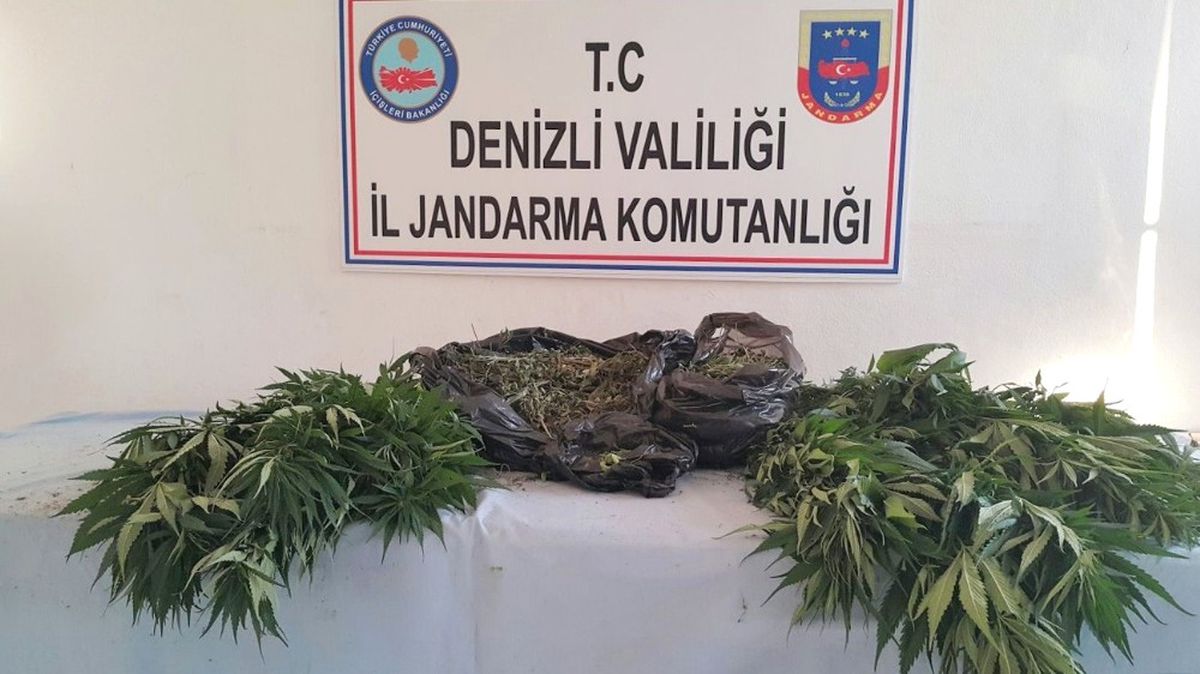 Jandarmadan Uyuşturucu Operasyonu