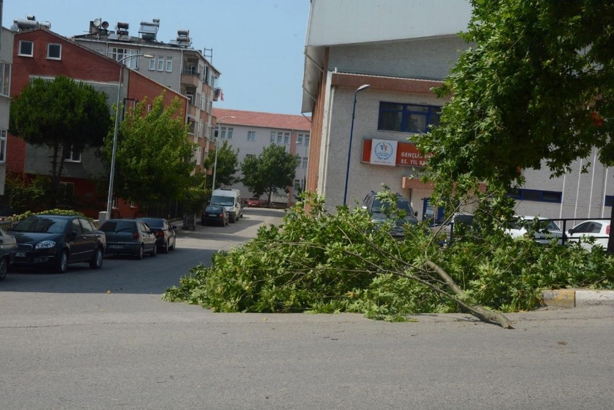 Sinop\'ta Şiddetli Rüzgar Hasara Neden Oldu