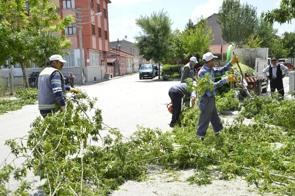 Tepebaşı\'nda Dal Budama Çalışmaları Sürüyor