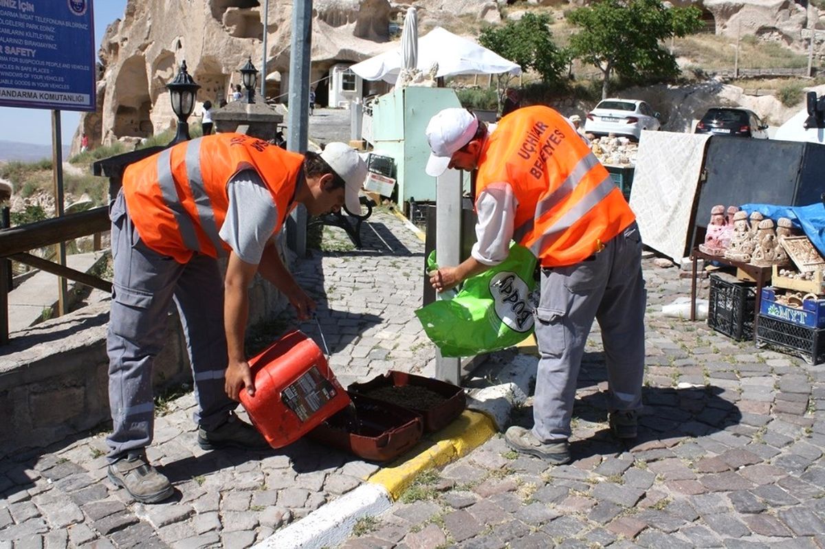 Uçhisar\'da, Sokak Hayvanları Aç Kalmıyor