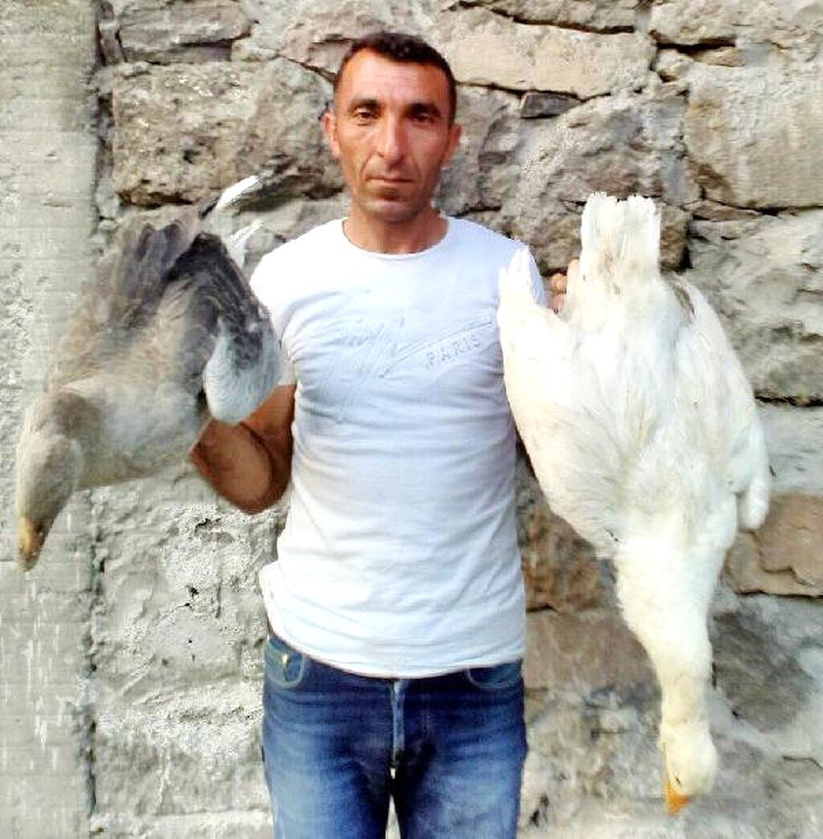3 Günde 150 Kaz Telef Oldu